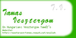 tamas vesztergom business card